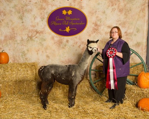 SageHillFarms Silver Linings ARI 32155112