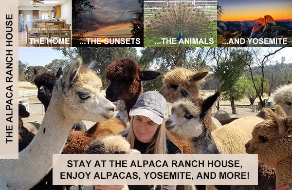 The Alpaca Ranch House - Vacation Rental at Yosemite