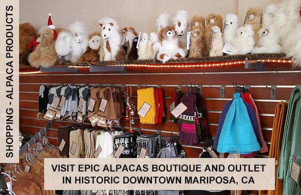 Epic Alpacas Boutique & Outlet